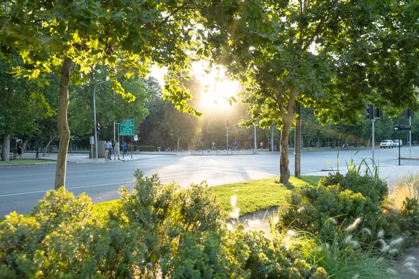 Santiago Regio Metropolitana Chili December 2018 Crossroad Het Forestal Park — Stockfoto