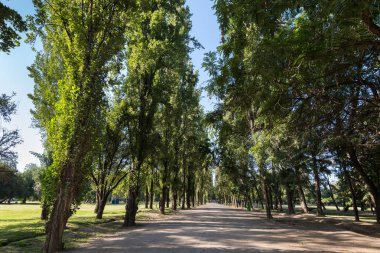 Peder Hurtado Parkı eski adıyla Park Intercomunal de la Reina La Reina bölgesinde, Santiago de Chile