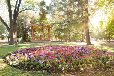Şehir Santiago ohigginspublic parkta Tibet bahçe, Şili