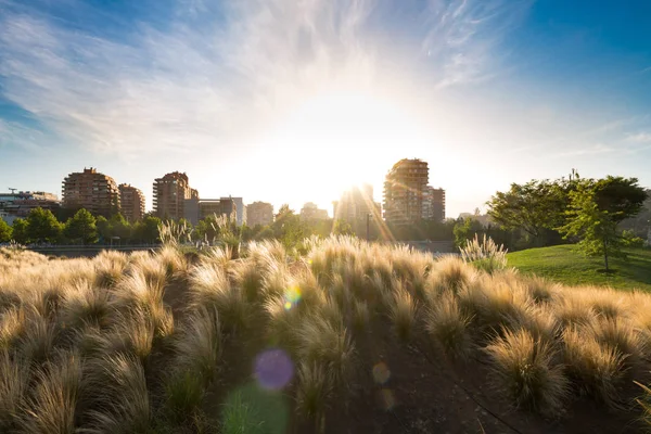 Sonnenaufgang Hinter Wohnhäusern Wohlhabenden Stadtteil Vitacura Santiago Chile — Stockfoto