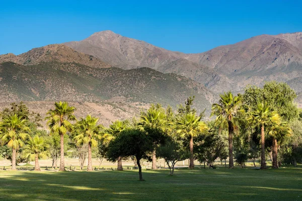 Padre Hurtado Park Tidigare Känd Som Parque Intercomunal Reina Distriktet — Stockfoto