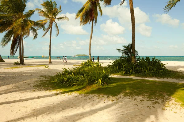 Arcipelago San Andres Providencia Santa Catalina Colombia Sud America Spiaggia — Foto Stock