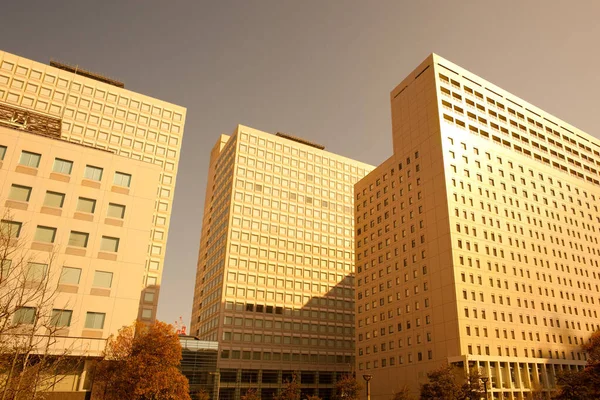 Detalle Oficina Edificios Odaiba Tokio Región Kanto Honshu Japón — Foto de Stock