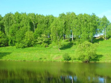 Huş ağaçları mavi gökyüzü arka plan üzerinde sessiz bir Nehri üzerinde