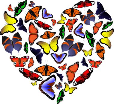 beyaz zemin üzerinde Kelebek set