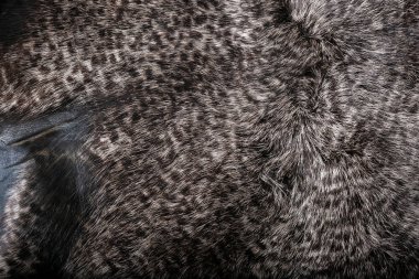 Doku veya arka plan için doğal kürk. Lüks ve zarif kabarık giysiler.