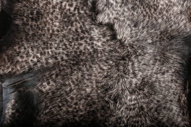 Doku veya arka plan için doğal kürk. Lüks ve zarif kabarık giysiler.