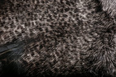 Doku veya arka plan için doğal kürk. Lüks ve zarif kabarık giysiler.