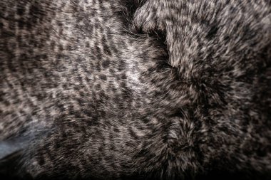 Doku veya arka plan için doğal kürk. Lüks ve zarif kabarık giysiler.