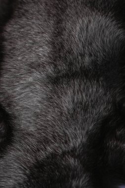 Doku veya arka plan için doğal kürk. Lüks ve zarif kabarık giysiler.