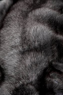 Doku veya arka plan için doğal kürk. Lüks ve zarif kabarık giysiler.