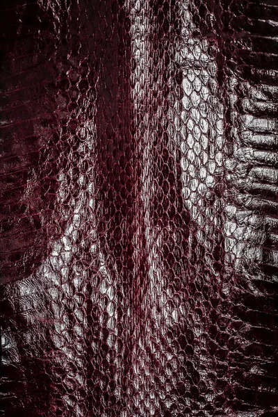 Texture Naturelle Fourrure Serpent — Photo