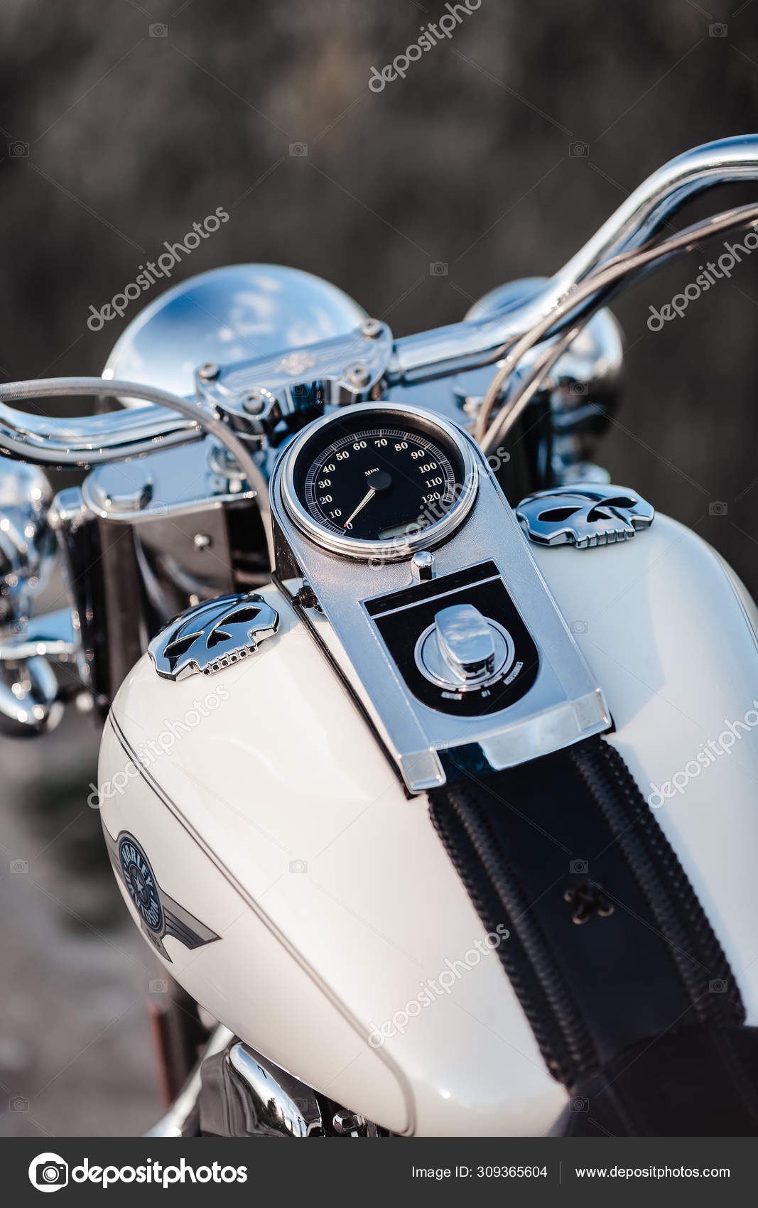 harley fatboy exhaust pipes
