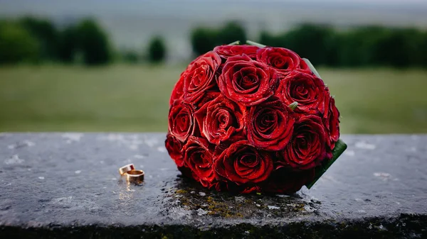 赤いバラと水滴付きの結婚指輪 — ストック写真