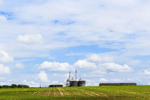 Grain warehouse in soy plantation in blue sky. Brazil, South Ame