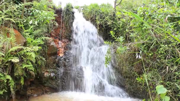 美丽的瀑布 深林瀑布 — 图库视频影像