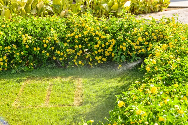 automatic lawn irrigation system