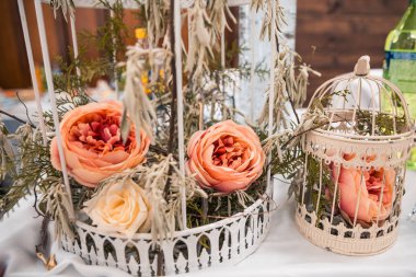 kafeste pantone güller