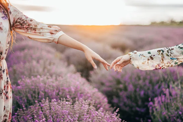 lavanda alanında el lerine dokunmak 