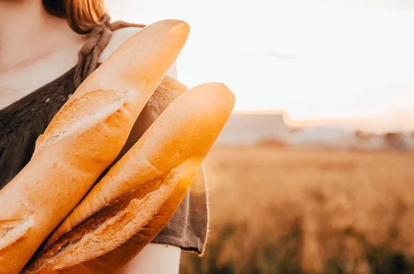 Baguete francês no campo de trigo — Fotografia de Stock