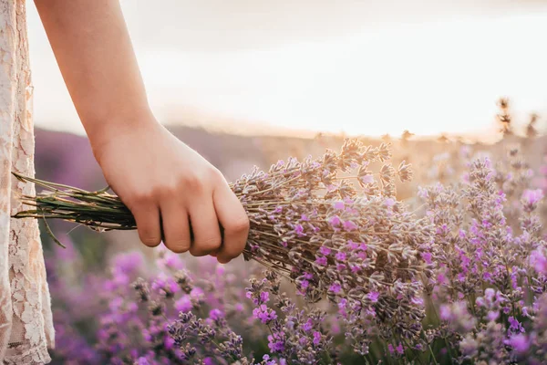 kadın elinde lavanta çiçek demet
