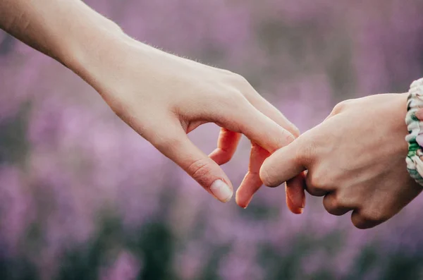 Dotek rukou v lavandě — Stock fotografie
