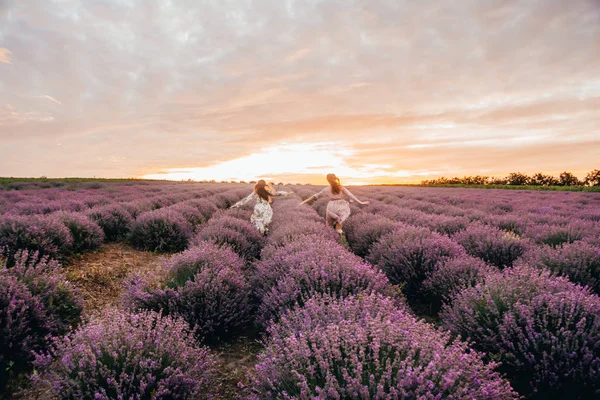 lavanta alanında çalışan kadınlar