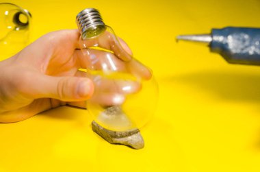 ampul terarrium bitki