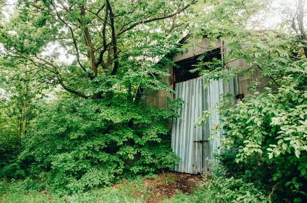 Casa abandonada em uma floresta — Fotografia de Stock