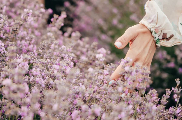 kız lavanta çiçekleri duygu 