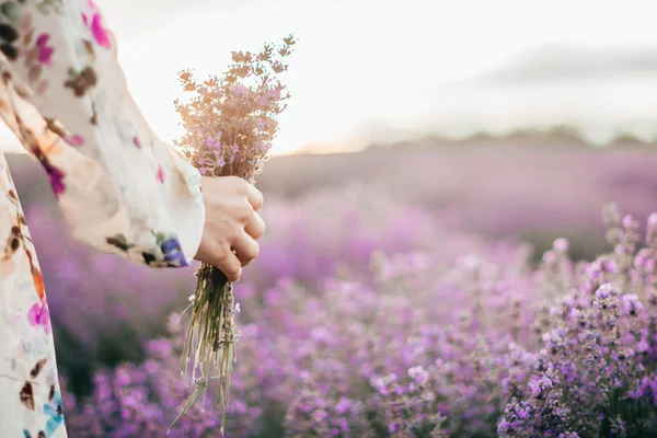 Lavendelstrauß in der Hand — Stockfoto