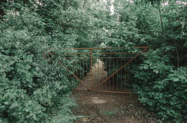 Cerca entre as árvores — Fotografia de Stock