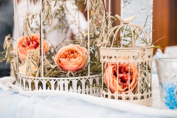 Pantone roses in cage — Stock Photo, Image