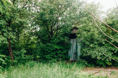 Ormanda terk edilmiş bir ev.