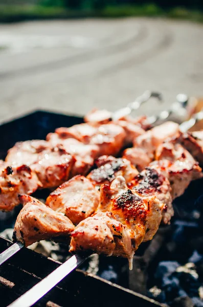 Snish kebab na szpikulec — Zdjęcie stockowe