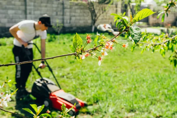 Cortador de grama vermelho — Fotografia de Stock