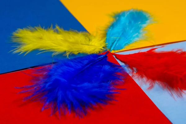 Plumas decorativas multicolores . — Foto de Stock