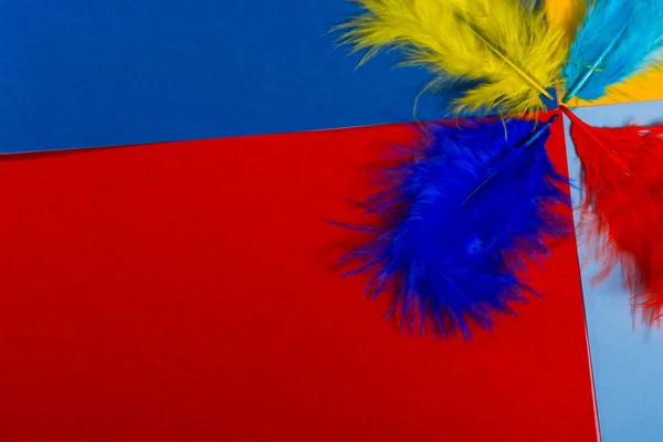 Plumas decorativas multicolores . — Foto de Stock