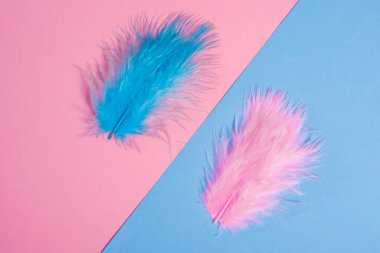 çok renkli dekoratif tüyler. 