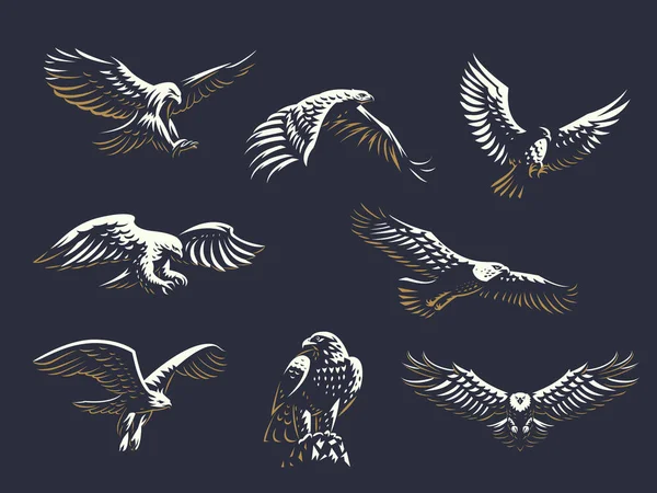 Set of vector eagles. — Stock Vector