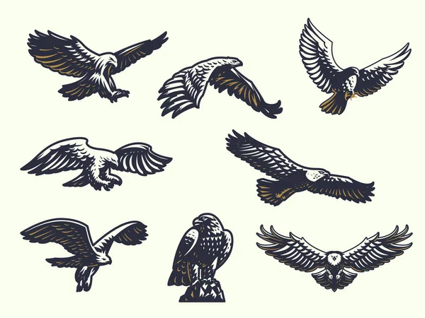 Conjunto de águilas vectoriales . — Archivo Imágenes Vectoriales