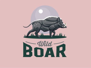 Yaban domuzu dişleri ile. 