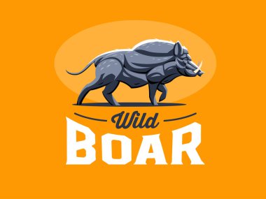 Yaban domuzu dişleri ile. 