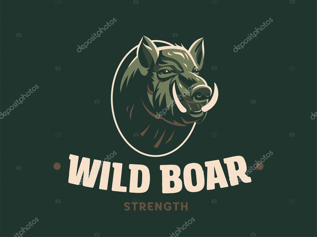 Wild boar with tusks. Vector illustration.