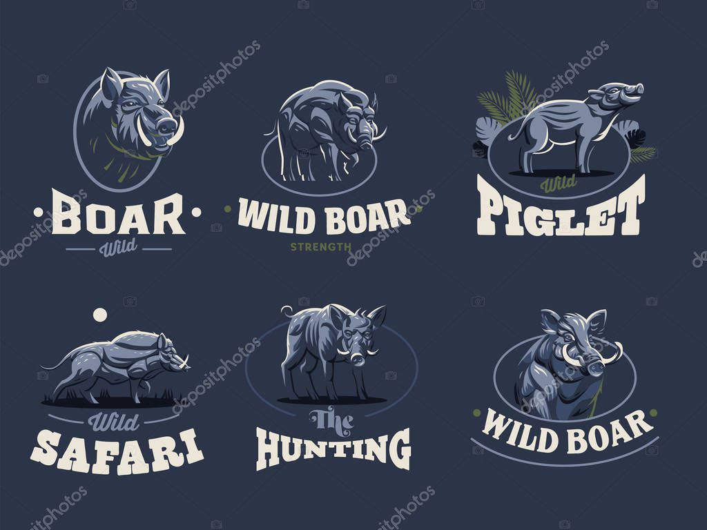 Set of vintage wild boar emblems. Vector illustration.