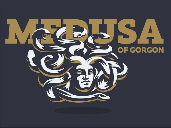 Medusa de la Gorgona. Ilustración vectorial . — Archivo Imágenes Vectoriales