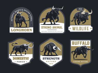 Boğa ve buffalo. 
