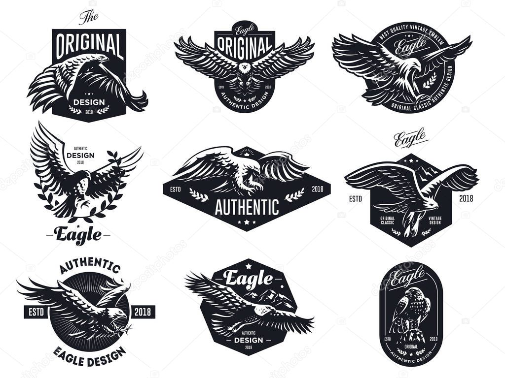 Set of vector birds. Eagles and hawks illustrations.