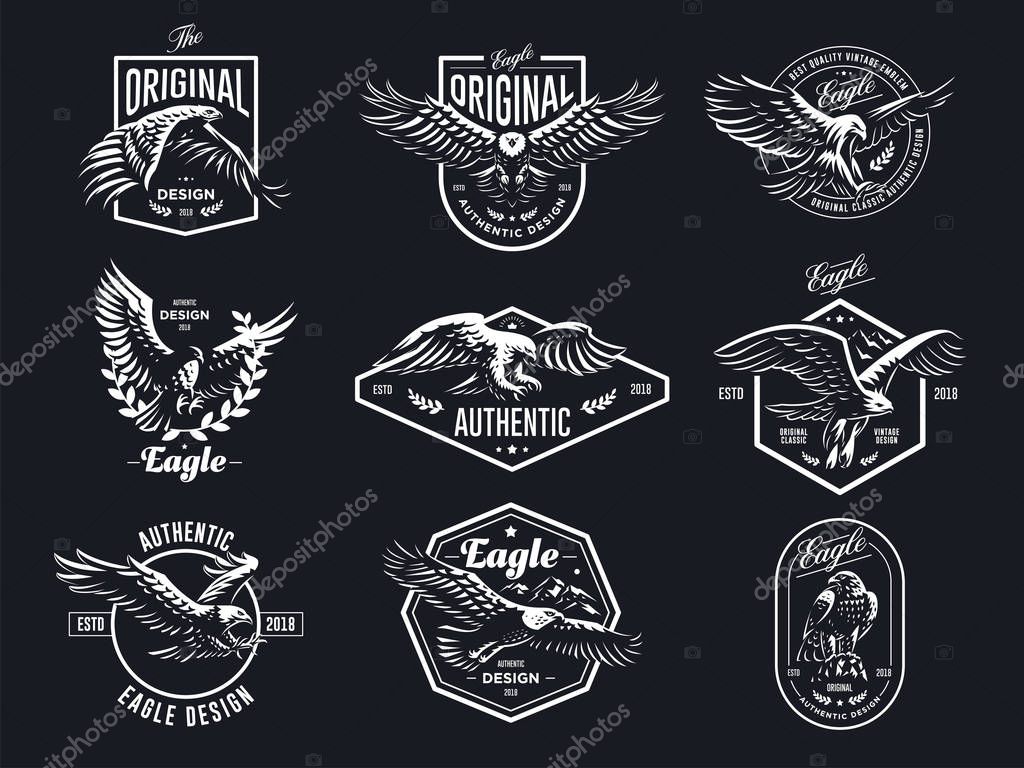 Set of vector birds. Eagles and hawks illustrations.