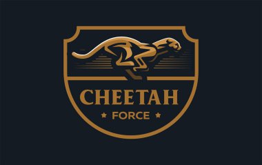 Bir çita görüntüsü.